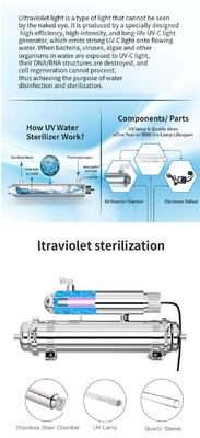Stainless Steel UV Water Purifier 1000L/H Household With UV Ultraviolet Lamp