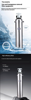 3000L Manganese Sand Water Filter Stainless Steel for Household Drink Well Water