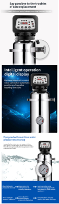 Stainless Steel Well Water Purifier Household Iron Manganese Removal 1000-3000L